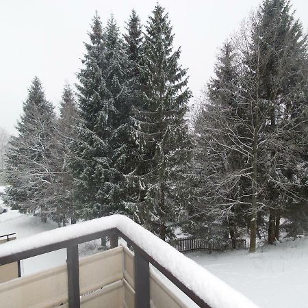 Ferienwohnung Mit Blick In Den Bayrischen Wald Oberhalb Von Sankt Engelmar Sankt Englmar Kültér fotó