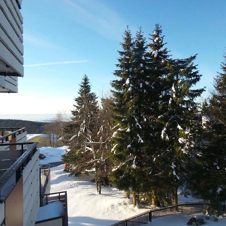 Ferienwohnung Mit Blick In Den Bayrischen Wald Oberhalb Von Sankt Engelmar Sankt Englmar Kültér fotó