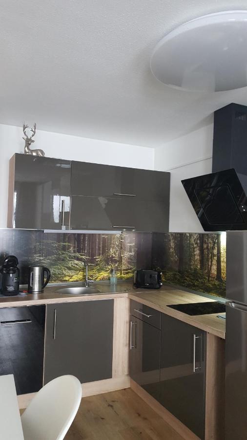 Ferienwohnung Mit Blick In Den Bayrischen Wald Oberhalb Von Sankt Engelmar Sankt Englmar Kültér fotó