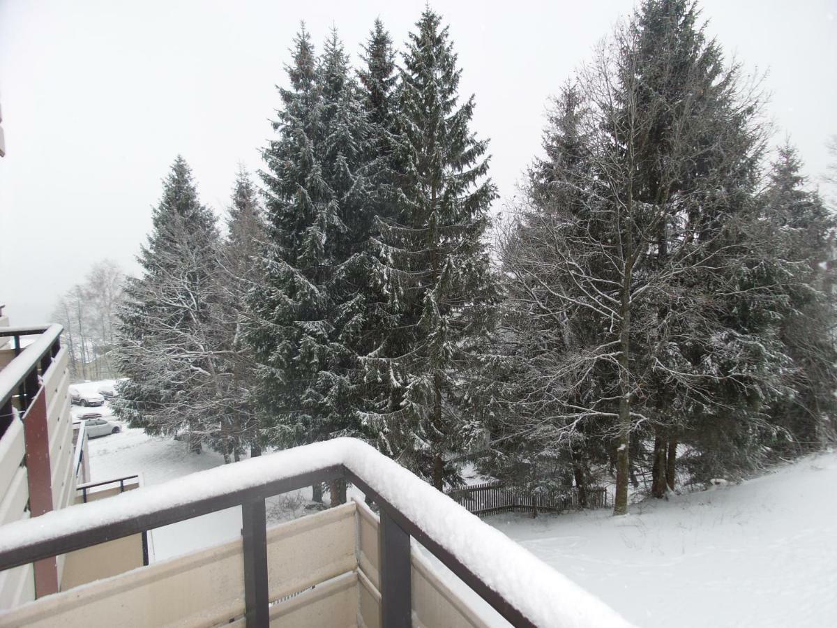 Ferienwohnung Mit Blick In Den Bayrischen Wald Oberhalb Von Sankt Engelmar Sankt Englmar Kültér fotó