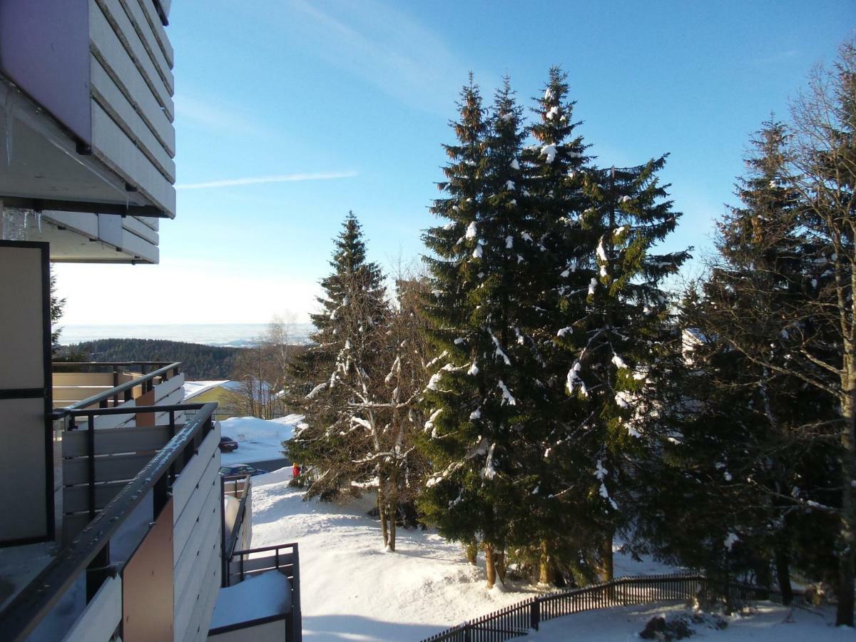 Ferienwohnung Mit Blick In Den Bayrischen Wald Oberhalb Von Sankt Engelmar Sankt Englmar Kültér fotó